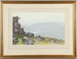Frederick John Widgery, The Tavy At Tavy Cleave, Dartmoor