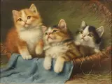 Wilhelm Schwar, A Basket Of Mischief