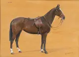 F. M. Hollams, Mona, A Saddled Dark Bay Hunter