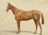 F. M. Hollams, Master Robert A Chestnut Racehorse