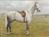 F. M. Hollams, Taffy, A Saddled Dappled Grey In A Field