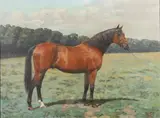 F. M. Hollams, The Stallion `Isinglass`, Winner Of The Triple Crown In 1893