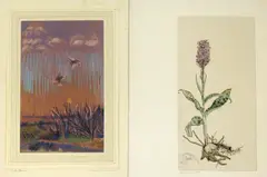Gavin Bone, A FOLIO OF ASSORTED SUBJECTS, c.1917-1939
