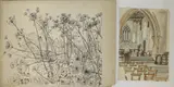 Mary Adshead, A Folio Of Assorted Drawings, houses etc Ink