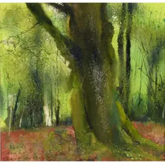 Kurt Jackson, Sven's Green Light, Shave Green