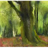 Kurt Jackson, Sven's Green Light, Shave Green
