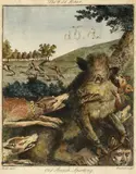 Daniel Dodd, Seven Plate From William Augustus Osbaldiston's `The British Sportsman..`: The Wild Boar; Coursing; Fox Hunting, The Earth Stopped; Hawking; Hare Hunting; Badger Hunting; Otter Hunting, engravings with hand colouring