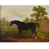James Barenger, Tramp, A Dark Bay Horse In A Paddock