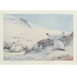 Seven Signed Prints by Archibald Thorburn, sold Nov 2022