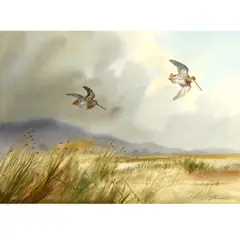 Robert W. Milliken, Snipe Over A Marsh; Grouse Over A Moor