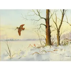 Robert W. Milliken, Snipe In A Winter Wood