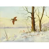 Robert W. Milliken, Snipe In A Winter Wood