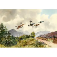 Robert W. Milliken, Black Grouse In The Mountains