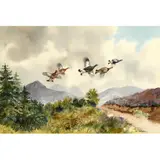 Robert W. Milliken, Black Grouse In The Mountains