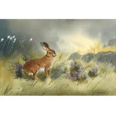 Robert W. Milliken, A Hare On A Moor