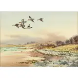 Robert W. Milliken, Grouse; Partridge; Snipe; Mallard