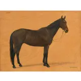 F. M. Hollams, John, A Dark Bay Hunter