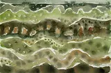 Wellen by Eduard Bargheer, Watercolour, sold Mar 2002