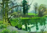 Carl Weisgerber, Schwäne am See, Gouache