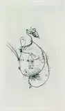 (d. i. Wolfgang Schulze) Wols, 3 Bll. Visage I-III, Etching