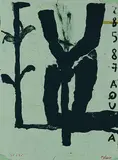 Jean-Charles Blais, Aqua
