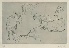 August Gaul, 2 Bll.: Ziegenherde. Schweine am Trog, Etching