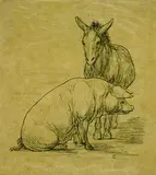 August Gaul, Schwein und Esel