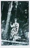 Anna und Bernhard Blume, 3 Bll.: Im Holz. Waldeslust. Auf der Schwarzwaldhöhe, Photography