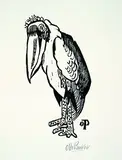 Otto Pankok, Marabu, 1947, Woodcut
