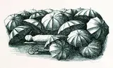 Edgar Ende, Regenschirme, Lithograph