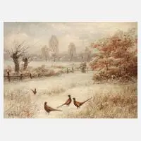 A. Mötsch, Fasane in Winterlandschaft, Öl auf Leinwand