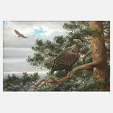 Friedrich Reimann, Seeadler im Geäst, Öl auf Hartfaserplatte