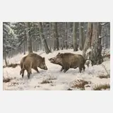 Friedrich Reimann, Wildschweine im Winterwald, Öl auf Hartfaserplatte