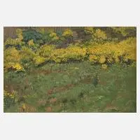 August Trümper, Gartenecke, Öl auf fester Pappe