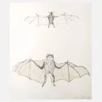 Kiki Smith, "Bat", 1998, Lithographie auf Velin und Transparentpapier