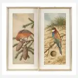 Friedrich Reimann, Zwei Vogeldarstellungen, Aquarelle