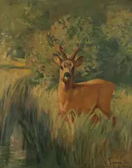 Karl Sovanka, Srnec, Okolo 1940, Olej na plátne