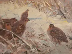 Karl Sovanka, Prepeličky, Okolo 1930, Olej na dreve