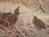 Karl Sovanka, Prepeličky, Okolo 1930, Olej na dreve