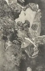 Zátišie by Albín Brunovský, 1968, Litografia na papieri (199/200), sold Apr 2019