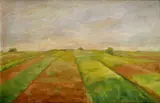 Orest Dubay, Polia, 1956, Olej na kartóne