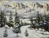 Nándor Katona, Zimné Tatry