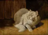 Arthur Heyer, Mačka, Okolo 1930, Olej na plátne