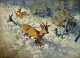 Karl Sovanka, Srnec a srnka, Okolo 1940, Olej na plátne