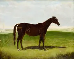 Albrecht Adam, Kôň, Okolo 1830, Olej na plátne