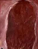 Ivan Csudai, Torzo