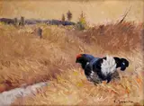 Karl Sovanka, Tetrov v poli, Okolo 1930 -40, Olej na plátne