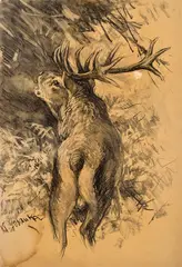Karl Sovanka, Jeleň, Okolo 1930, Kresba uhľom na zažltnutom papieri