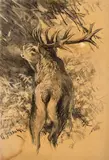Karl Sovanka, Jeleň, Okolo 1930, Kresba uhľom na zažltnutom papieri