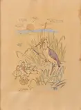 Jan Hála, Bocian, 1943, Kresba tušom, perom, kolorovaná akvarelom na papieri